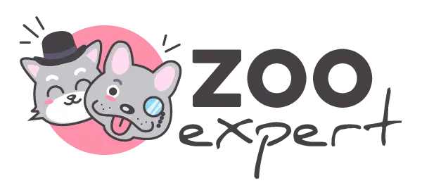 Zooexpert